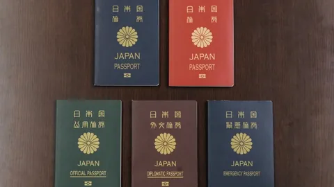 CBA常规赛第十三轮最佳五人：胡金秋领衔，吉伦沃特、利夫、盖利、约克入选